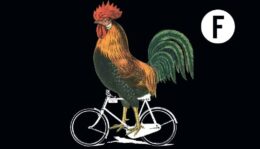 BlackFHahn BlackFHahn